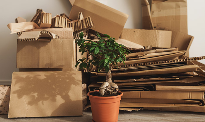 Hausräumung und Entsorgungsdienste